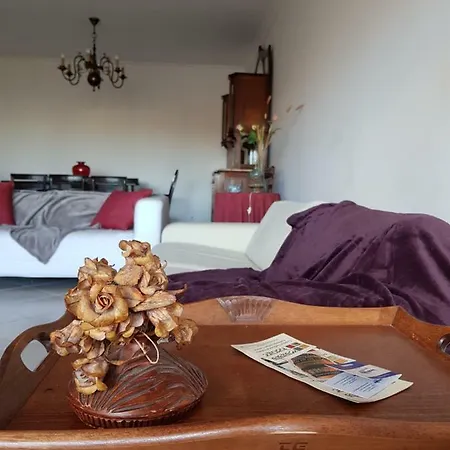 Apartmán Rotundaparkhouse